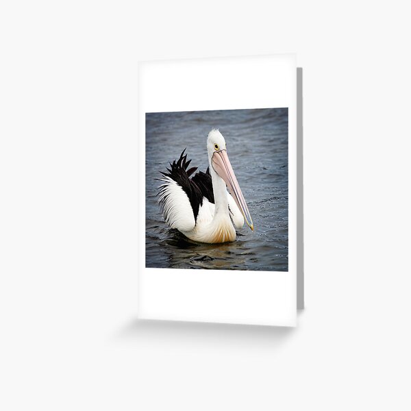 Item preview, Pelican - Square format designed and sold by GaryParnell.