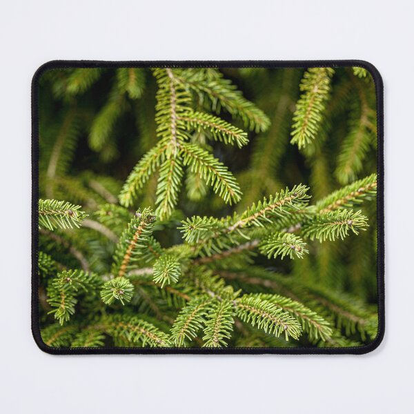 Item preview, Spruce  designed and sold by KGPhotoArt.