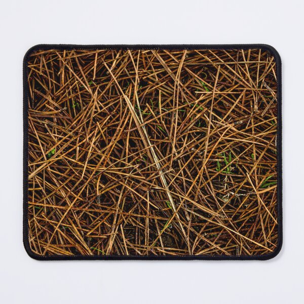 Item preview, Conifer needles  designed and sold by KGPhotoArt.