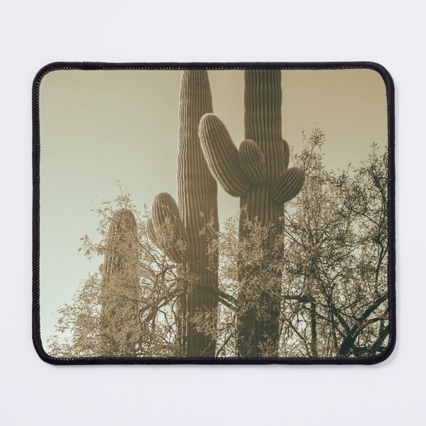 Item preview, Saguaro Cacti designed and sold by jvnimages.