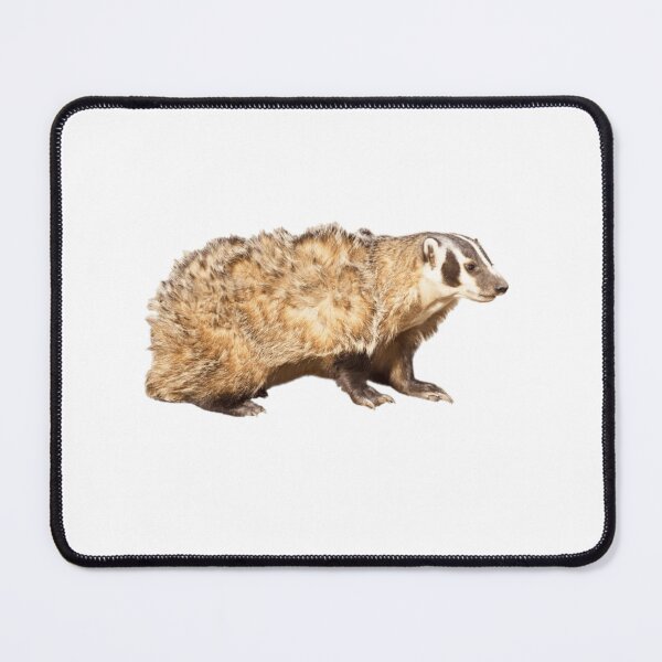 Item preview, Cute Badger designed and sold by jamcaYT.