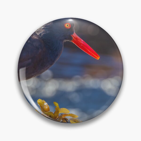 Item preview, Oystercatcher designed and sold by jvnimages.