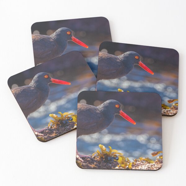 Item preview, Oystercatcher designed and sold by jvnimages.