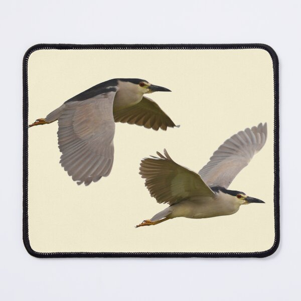 Item preview, Black Crowned  Night Herons in Flight designed and sold by Whisperingpeaks.