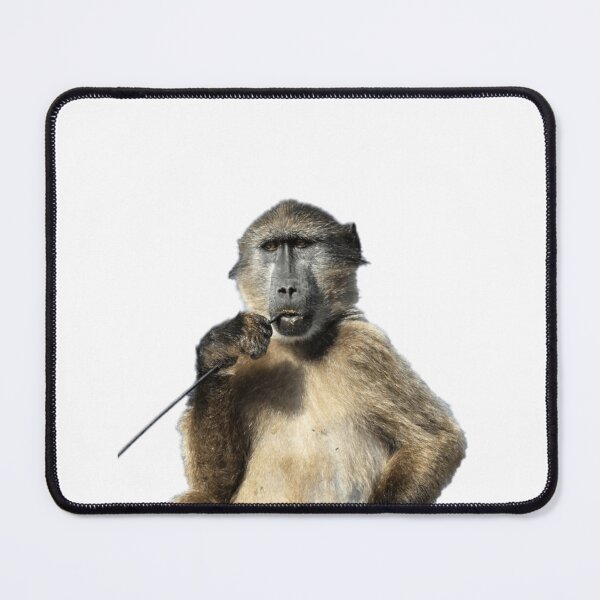 Item preview, Baboon picking his teeth designed and sold by jamcaYT.