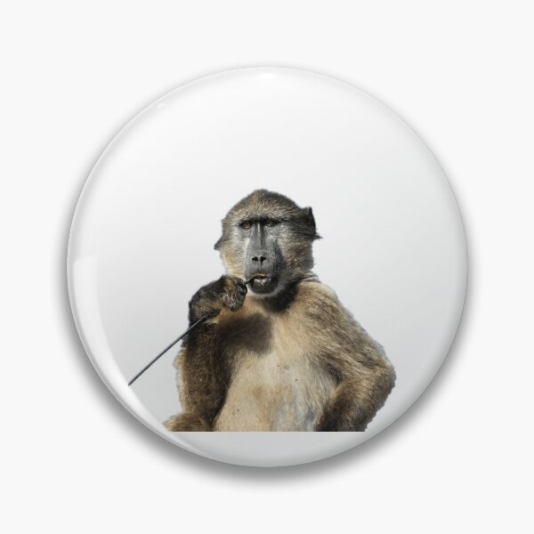 Item preview, Baboon picking his teeth  designed and sold by jamcaYT.