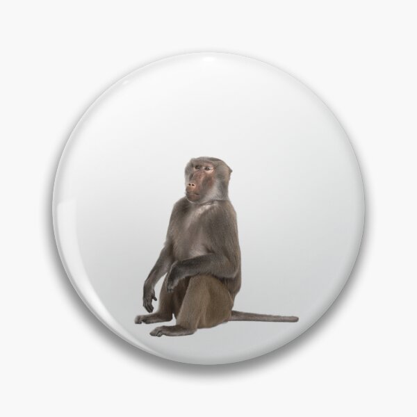 Item preview, Baboon sitting designed and sold by jamcaYT.