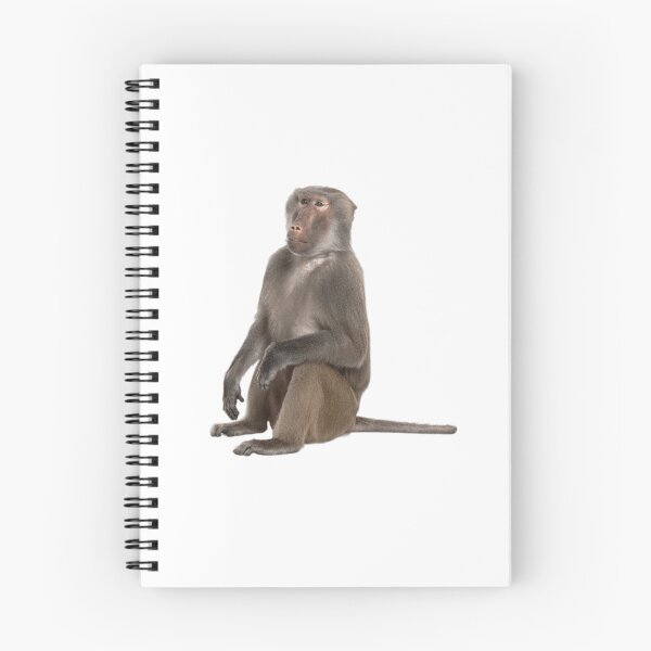 Item preview, Baboon sitting designed and sold by jamcaYT.