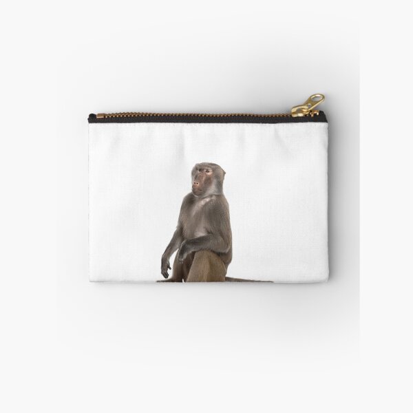 Item preview, Baboon sitting designed and sold by jamcaYT.