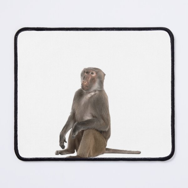 Item preview, Baboon sitting designed and sold by jamcaYT.