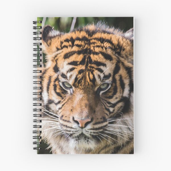 Item preview, Tiger 'Who you lookin at' designed and sold by John Stoves.