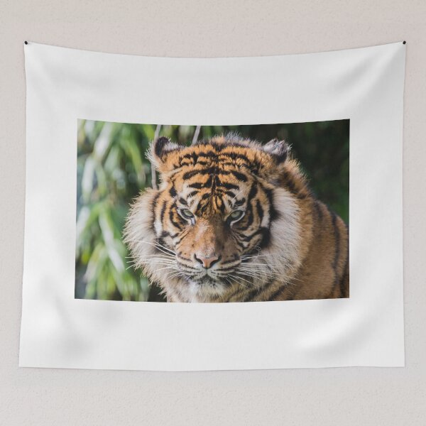 Item preview, Tiger 'Who you lookin at' designed and sold by John Stoves.