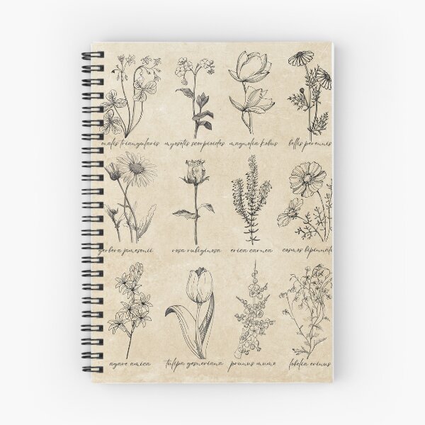 Item preview, botanical floral poster (W/O LOONA TITLE) designed and sold by loonaluvdesigns.