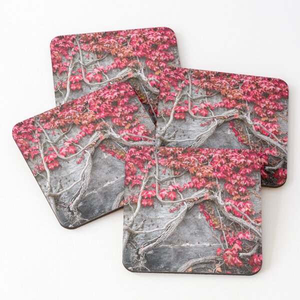 Item preview, The Ivy on the Church Wall designed and sold by Alan Millarvie.