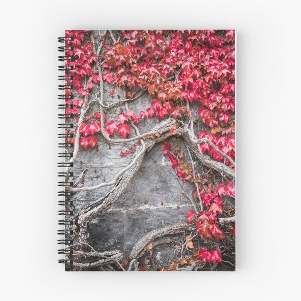 Item preview, The Ivy on the Church Wall designed and sold by Alan Millarvie.