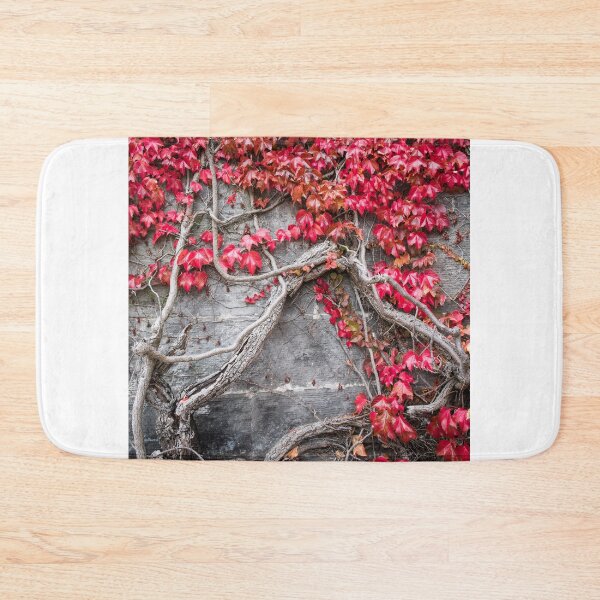 Item preview, The Ivy on the Church Wall designed and sold by Alan Millarvie.