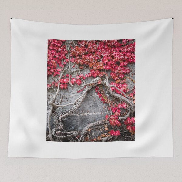 Item preview, The Ivy on the Church Wall designed and sold by Alan Millarvie.