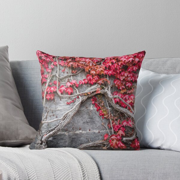Item preview, The Ivy on the Church Wall designed and sold by Alan Millarvie.