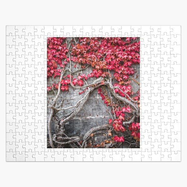 Pop Pop's Fishing Hole 1000 Piece Jigsaw Puzzle