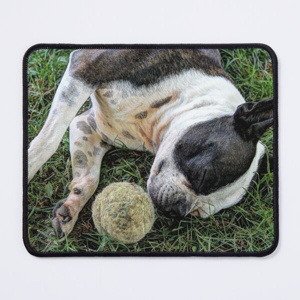 Item preview, "My Favorite Toy" designed and sold by wiscbackroadz.