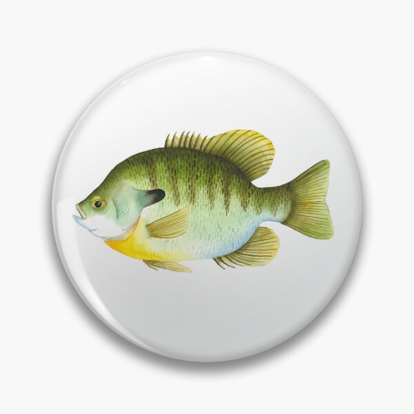 Item preview, Blue Gill designed and sold by ShibaBrie.
