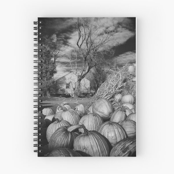 Item preview, Pumpkin Patch Hwy14 designed and sold by johnny gomez.