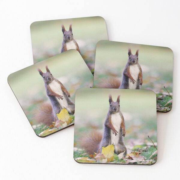 Item preview, Squirrel designed and sold by ART-SUNRISE.
