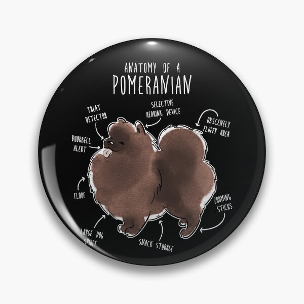 Item preview, Chocolate Pomeranian Dog Anatomy designed and sold by Clara Hollins.