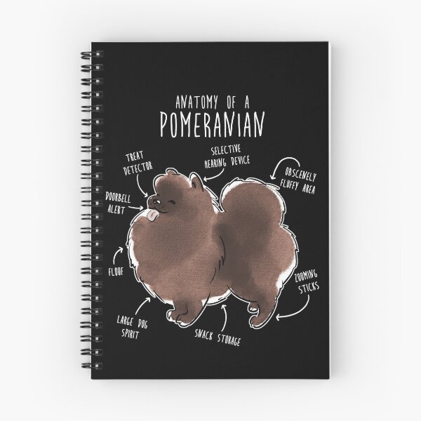Item preview, Chocolate Pomeranian Dog Anatomy designed and sold by Clara Hollins.
