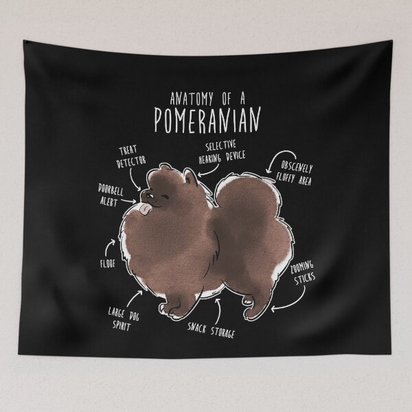 Item preview, Chocolate Pomeranian Dog Anatomy designed and sold by Clara Hollins.