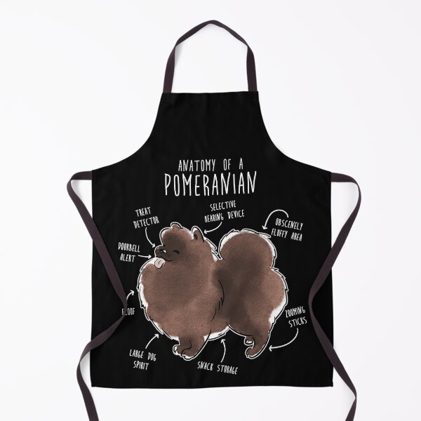 Item preview, Chocolate Pomeranian Dog Anatomy designed and sold by Clara Hollins.