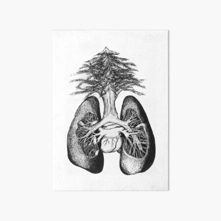 Item preview, Live and Breathe the Cedar Tree designed and sold by Sofia Elian.