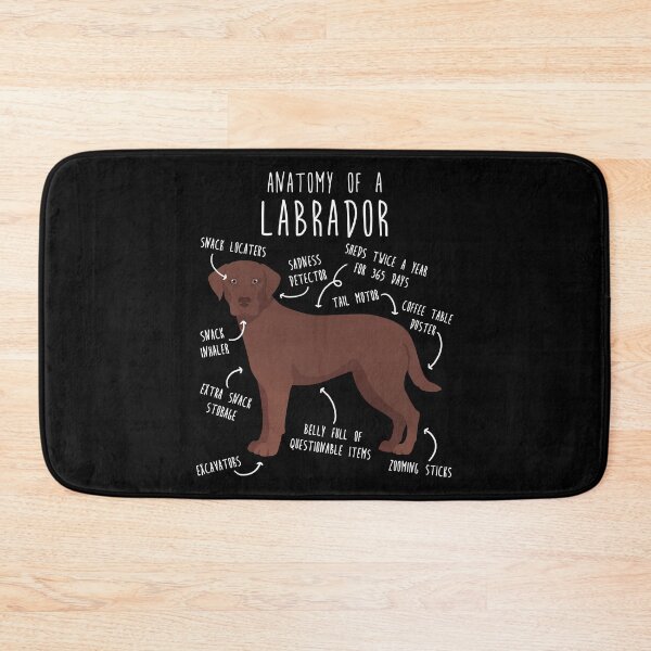 Item preview, Chocolate Labrador Retriever Dog Anatomy designed and sold by Clara Hollins.