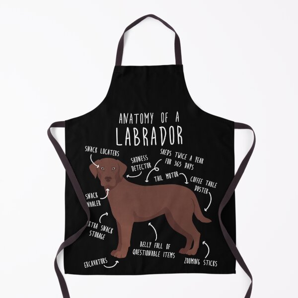 Item preview, Chocolate Labrador Retriever Dog Anatomy designed and sold by Clara Hollins.