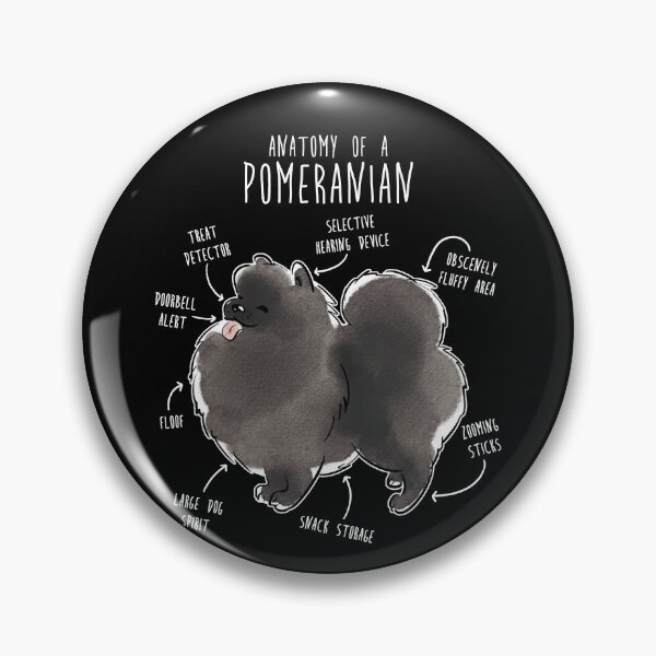 Item preview, Black Pomeranian Dog Anatomy designed and sold by Clara Hollins.