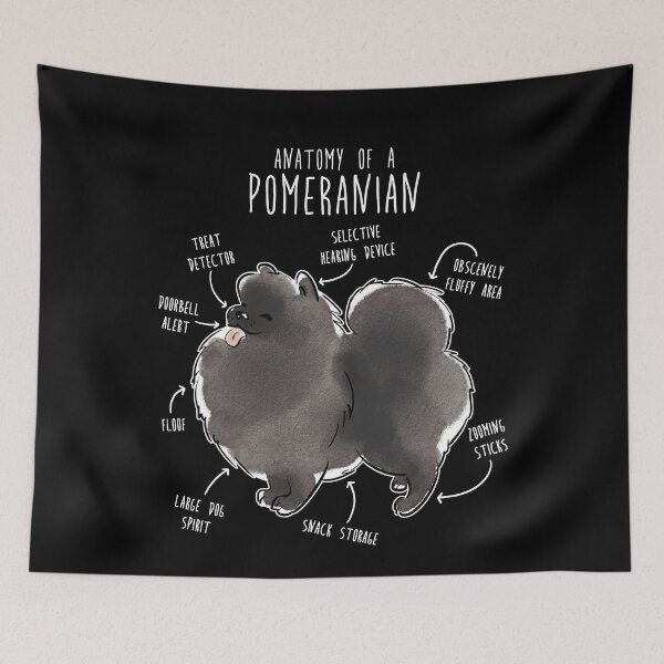 Item preview, Black Pomeranian Dog Anatomy designed and sold by Clara Hollins.