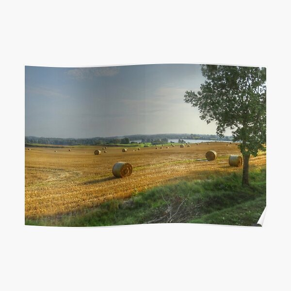After the harvest Poster