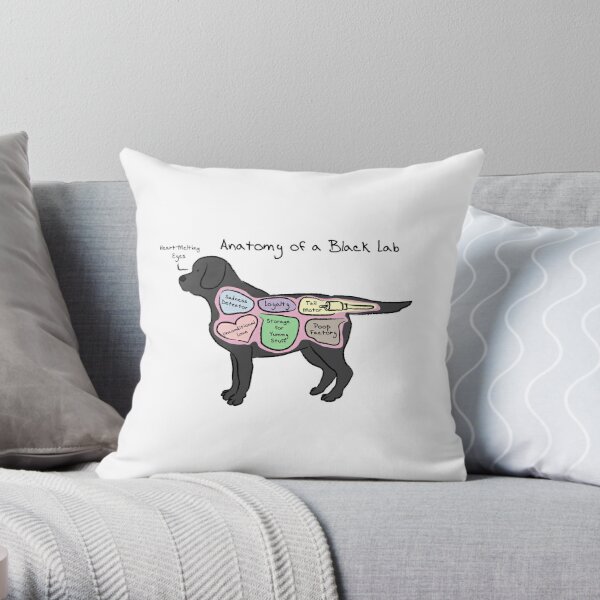 https://ih1.redbubble.net/image.449055989.9800/throwpillow,small,600x-bg,f8f8f8-c,0,120,600,600.u9.jpg