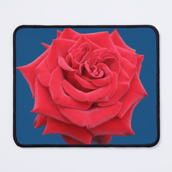 Item preview, Red Rose designed and sold by STHogan.