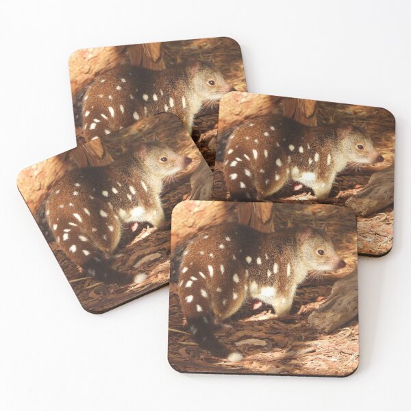 Item preview, Quoll designed and sold by DiDee74.