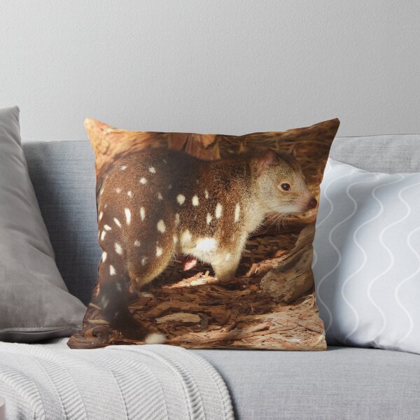 Item preview, Quoll designed and sold by DiDee74.