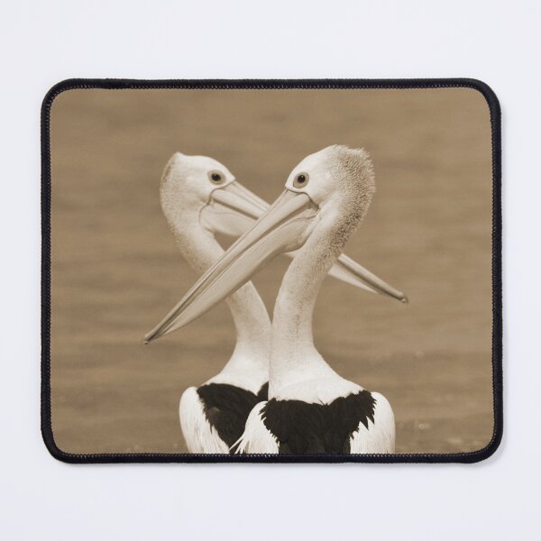 Item preview, Pelicans designed and sold by DiDee74.