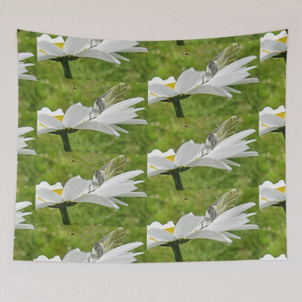 Item preview, Soft  Place To Rest designed and sold by lynn carter.
