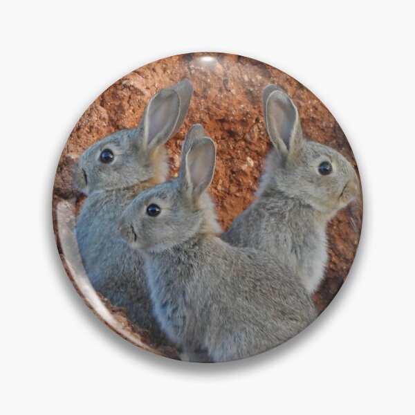 Item preview, Bunnies designed and sold by DiDee74.