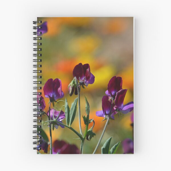 Item preview, Sweet Peas designed and sold by DiDee74.