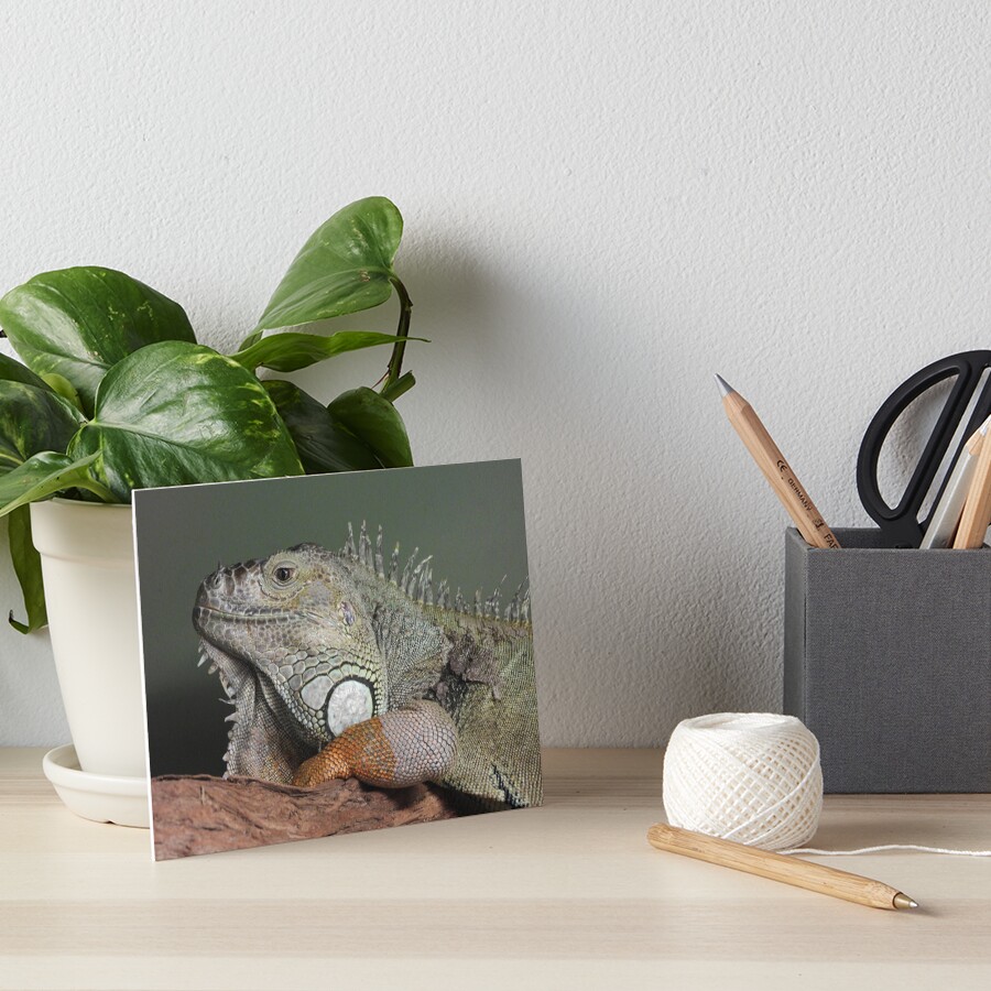 Item preview, Art Board Print designed and sold by DiDee74.