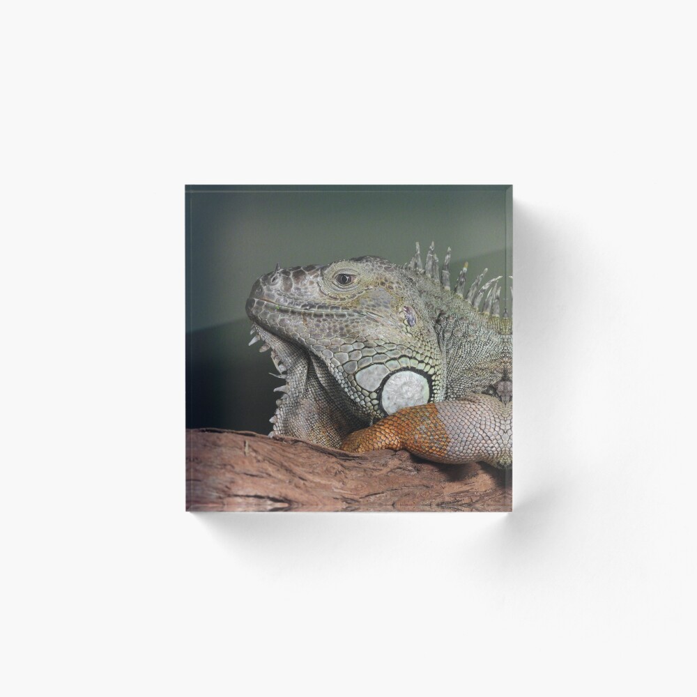 Item preview, Acrylic Block designed and sold by DiDee74.