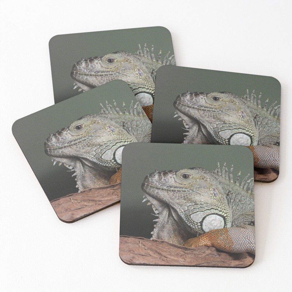 Item preview, Coasters (Set of 4) designed and sold by DiDee74.