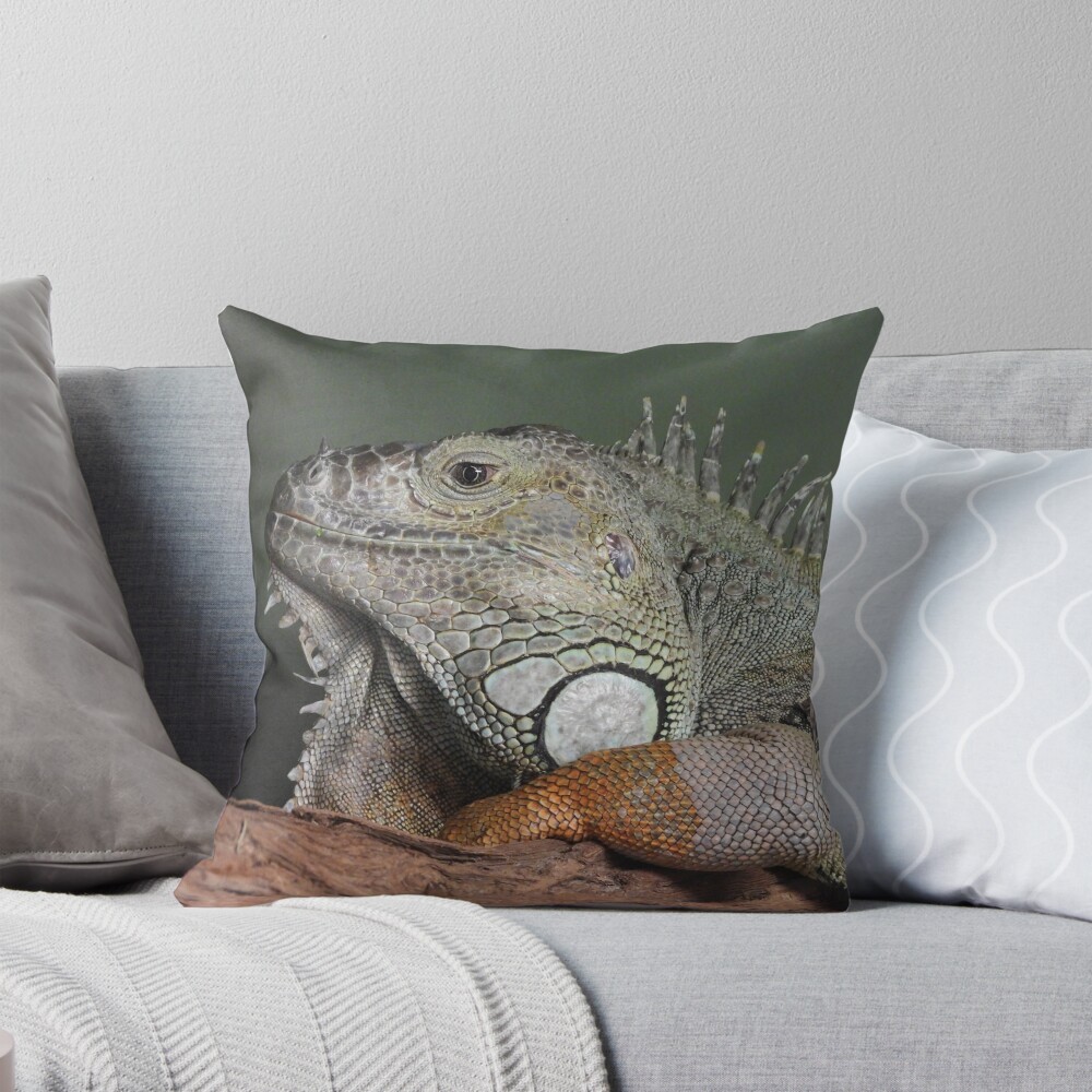 Item preview, Throw Pillow designed and sold by DiDee74.