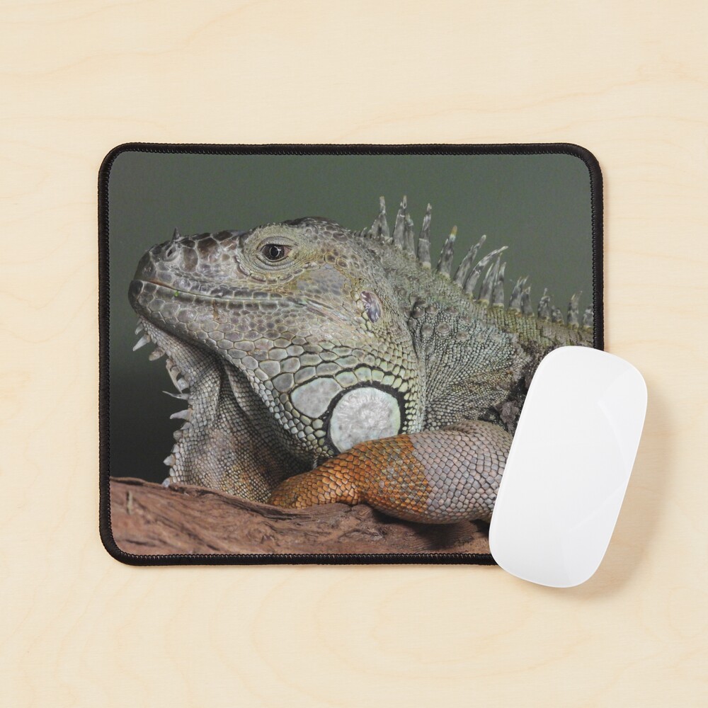 Item preview, Mouse Pad designed and sold by DiDee74.